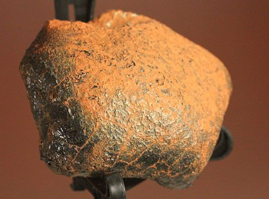 1960年10月落下、どこかの天体の地殻だった隕石ユークライト・ミルビリリー隕石（その1）
