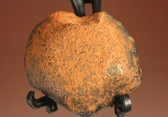 1960年10月落下、どこかの天体の地殻だった隕石ユークライト・ミルビリリー隕石（その3）