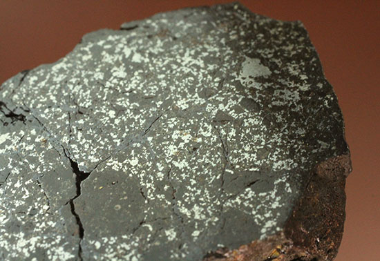 天体同士の衝突によって生まれた最も有名なメソシデライトの一つ「ヴァカ・ムエルタ隕石(Vaca Muerta) 」（その1）
