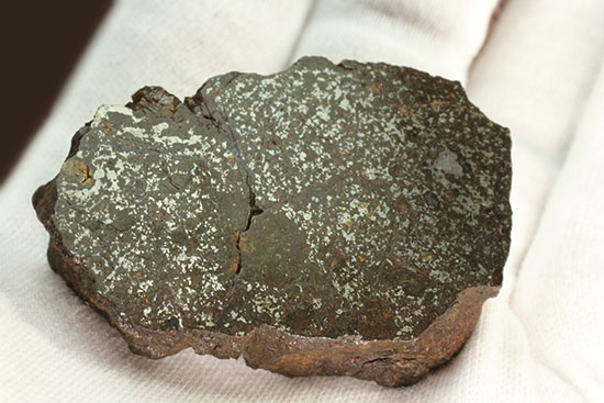 天体同士の衝突によって生まれた最も有名なメソシデライトの一つ「ヴァカ・ムエルタ隕石(Vaca Muerta) 」(その10)