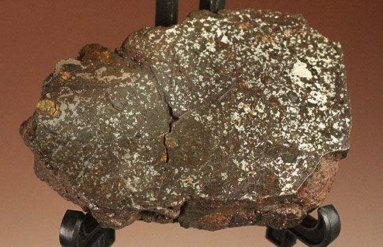 天体同士の衝突によって生まれた最も有名なメソシデライトの一つ「ヴァカ・ムエルタ隕石(Vaca Muerta) 」（その2）