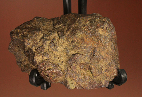 天体同士の衝突によって生まれた最も有名なメソシデライトの一つ「ヴァカ・ムエルタ隕石(Vaca Muerta) 」（その3）