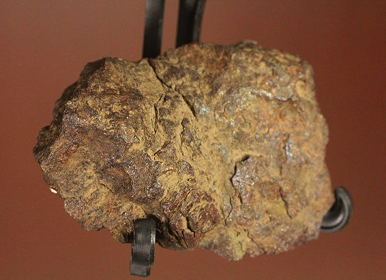 天体同士の衝突によって生まれた最も有名なメソシデライトの一つ「ヴァカ・ムエルタ隕石(Vaca Muerta) 」（その4）