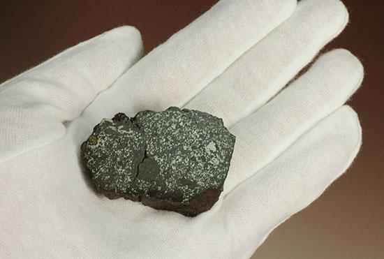 天体同士の衝突によって生まれた最も有名なメソシデライトの一つ「ヴァカ・ムエルタ隕石(Vaca Muerta) 」（その5）