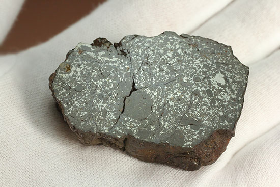 天体同士の衝突によって生まれた最も有名なメソシデライトの一つ「ヴァカ・ムエルタ隕石(Vaca Muerta) 」（その6）