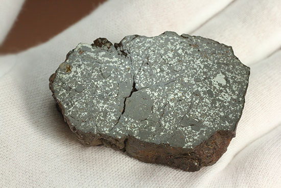 天体同士の衝突によって生まれた最も有名なメソシデライトの一つ「ヴァカ・ムエルタ隕石(Vaca Muerta) 」(その6)