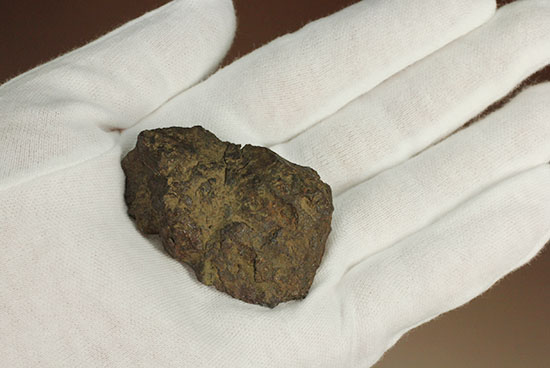 天体同士の衝突によって生まれた最も有名なメソシデライトの一つ「ヴァカ・ムエルタ隕石(Vaca Muerta) 」(その8)