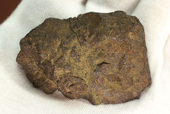 天体同士の衝突によって生まれた最も有名なメソシデライトの一つ「ヴァカ・ムエルタ隕石(Vaca Muerta) 」(その9)