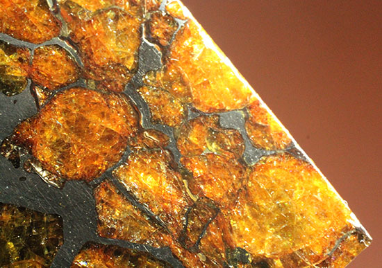 一度見たら心を奪われる、最も希少な石鉄隕石の一つ、隕石イミラック（チリアタカマ砂漠隕石）（その10）