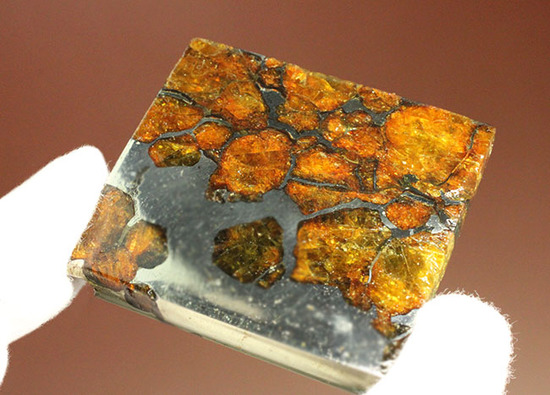 一度見たら心を奪われる、最も希少な石鉄隕石の一つ、隕石イミラック（チリアタカマ砂漠隕石）（その11）
