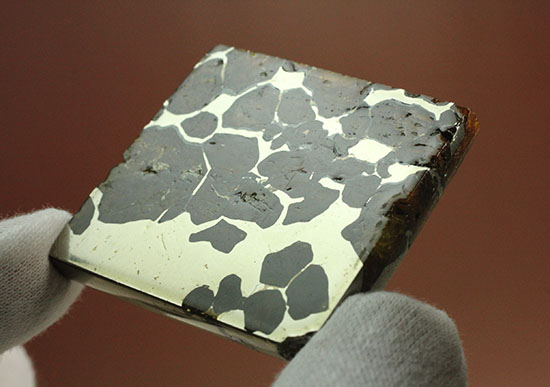 一度見たら心を奪われる、最も希少な石鉄隕石の一つ、隕石イミラック（チリアタカマ砂漠隕石）（その12）