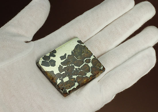 一度見たら心を奪われる、最も希少な石鉄隕石の一つ、隕石イミラック（チリアタカマ砂漠隕石）（その13）
