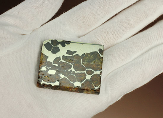 一度見たら心を奪われる、最も希少な石鉄隕石の一つ、隕石イミラック（チリアタカマ砂漠隕石）（その14）