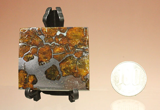 一度見たら心を奪われる、最も希少な石鉄隕石の一つ、隕石イミラック（チリアタカマ砂漠隕石）（その17）