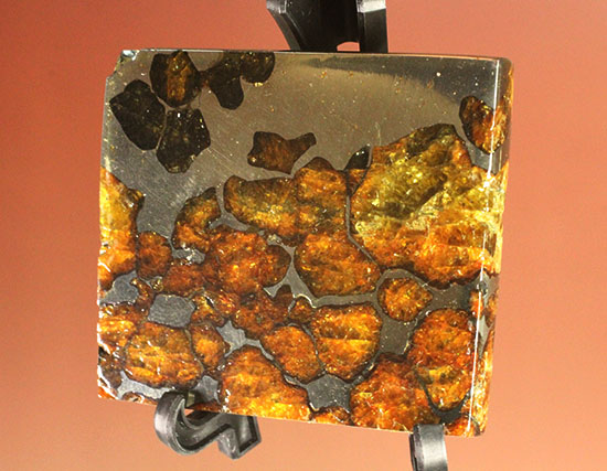 一度見たら心を奪われる、最も希少な石鉄隕石の一つ、隕石イミラック（チリアタカマ砂漠隕石）（その5）