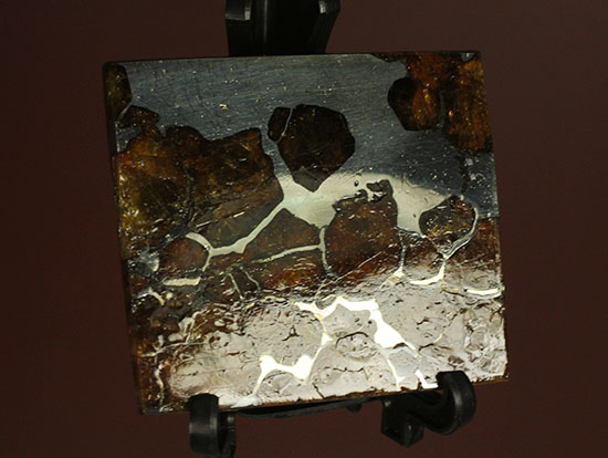 一度見たら心を奪われる、最も希少な石鉄隕石の一つ、隕石イミラック（チリアタカマ砂漠隕石）（その6）