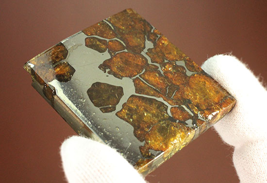 一度見たら心を奪われる、最も希少な石鉄隕石の一つ、隕石イミラック（チリアタカマ砂漠隕石）（その8）