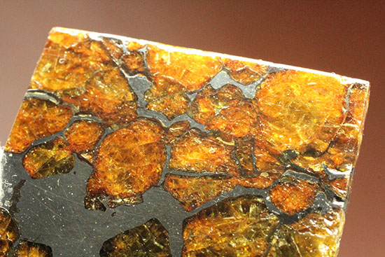 一度見たら心を奪われる、最も希少な石鉄隕石の一つ、隕石イミラック（チリアタカマ砂漠隕石）（その9）