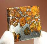 一度見たら心を奪われる、最も希少な石鉄隕石の一つ、隕石イミラック（チリアタカマ砂漠隕石）