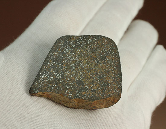 インパクト大！高金属型コンドライト、プレインビュー隕石（その1）