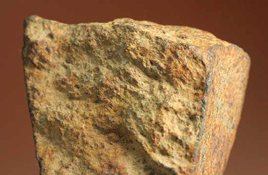 インパクト大！高金属型コンドライト、プレインビュー隕石（その6）