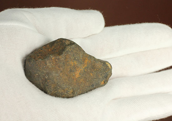 オーストラリアに1879年に落下した石質隕石（コンドライトL6）（その10）
