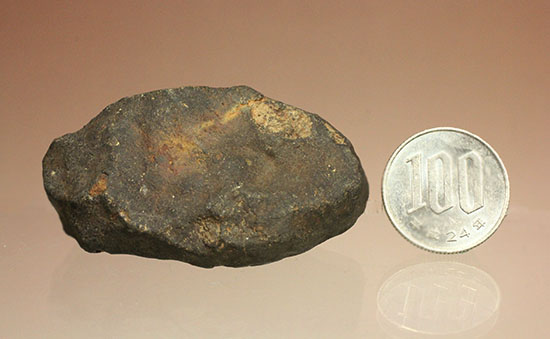 オーストラリアに1879年に落下した石質隕石（コンドライトL6）（その12）
