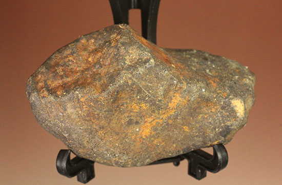 オーストラリアに1879年に落下した石質隕石（コンドライトL6）（その2）