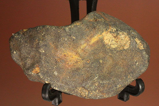 オーストラリアに1879年に落下した石質隕石（コンドライトL6）（その9）