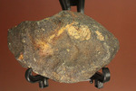 オーストラリアに1879年に落下した石質隕石（コンドライトL6）