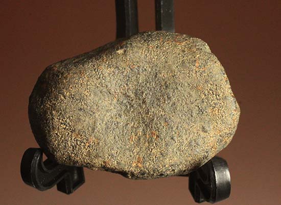 1978年12月にメキシコに落下したヌエヴォ・メルキュリオ隕石（溶融表皮の状態抜群）（その13）
