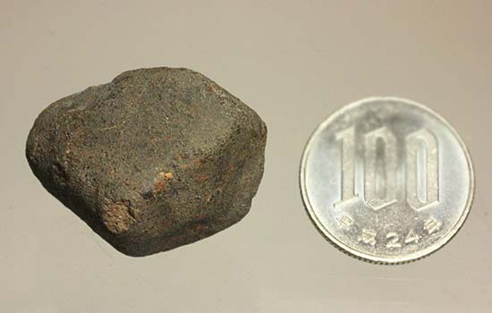 1978年12月にメキシコに落下したヌエヴォ・メルキュリオ隕石（溶融表皮の状態抜群）（その14）