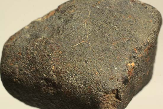 1978年12月にメキシコに落下したヌエヴォ・メルキュリオ隕石（溶融表皮の状態抜群）（その2）