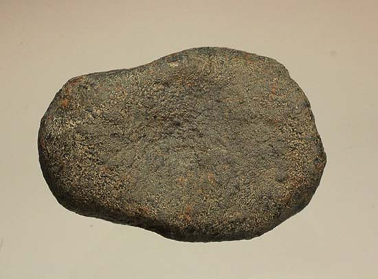 1978年12月にメキシコに落下したヌエヴォ・メルキュリオ隕石（溶融表皮の状態抜群）（その3）