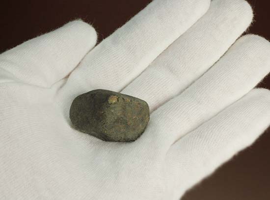 1978年12月にメキシコに落下したヌエヴォ・メルキュリオ隕石（溶融表皮の状態抜群）（その4）