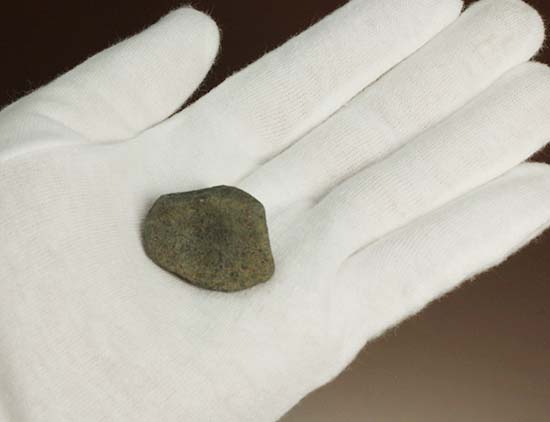 1978年12月にメキシコに落下したヌエヴォ・メルキュリオ隕石（溶融表皮の状態抜群）（その6）