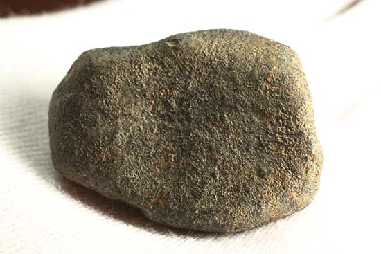 1978年12月にメキシコに落下したヌエヴォ・メルキュリオ隕石（溶融表皮の状態抜群）（その7）