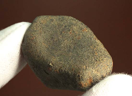1978年12月にメキシコに落下したヌエヴォ・メルキュリオ隕石（溶融表皮の状態抜群）（その8）