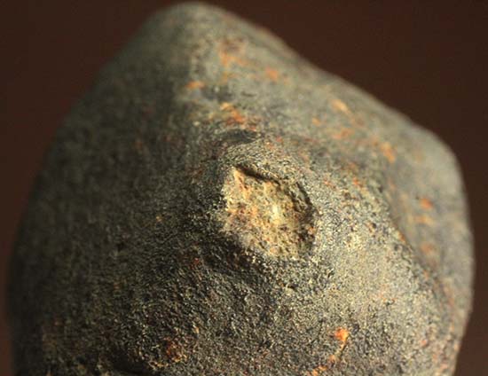 1978年12月にメキシコに落下したヌエヴォ・メルキュリオ隕石（溶融表皮の状態抜群）（その9）