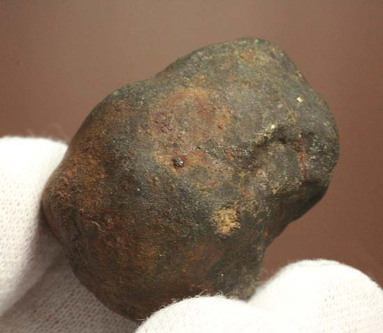 太陽系生成時に生まれた隕石「テンハム」（その11）