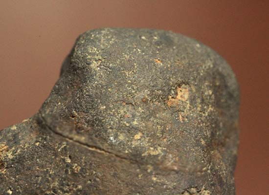 太陽系生成時に生まれた隕石「テンハム」（その12）