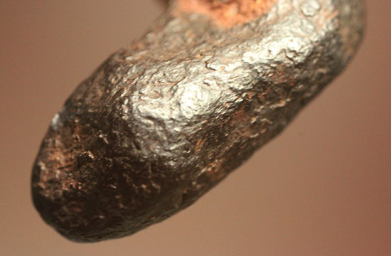 １９３７年オーストラリアで発見された鉄隕石ボックスホール鉄隕石（その10）