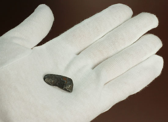 １９３７年オーストラリアで発見された鉄隕石ボックスホール鉄隕石（その5）