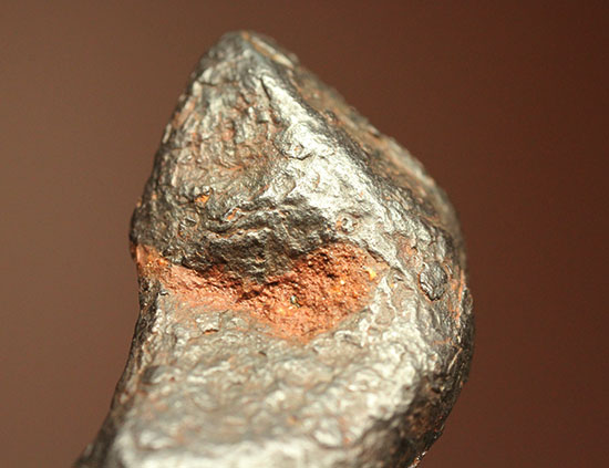 １９３７年オーストラリアで発見された鉄隕石ボックスホール鉄隕石（その9）