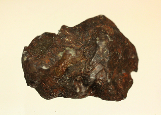 1947年にロシアに落下。鉄隕石シホテアリン（Sikhote-Alin）（その3）