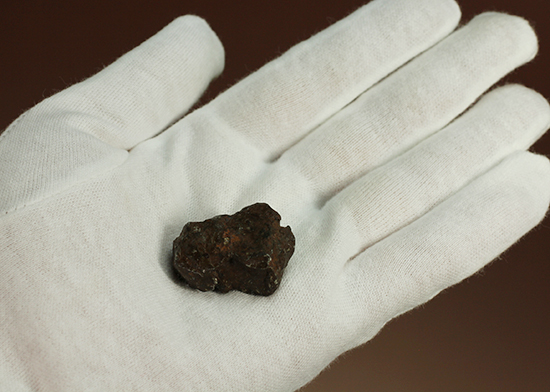 1947年にロシアに落下。鉄隕石シホテアリン（Sikhote-Alin）（その5）