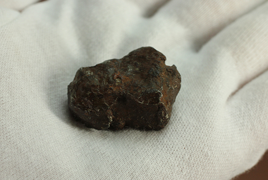 1947年にロシアに落下。鉄隕石シホテアリン（Sikhote-Alin）（その6）