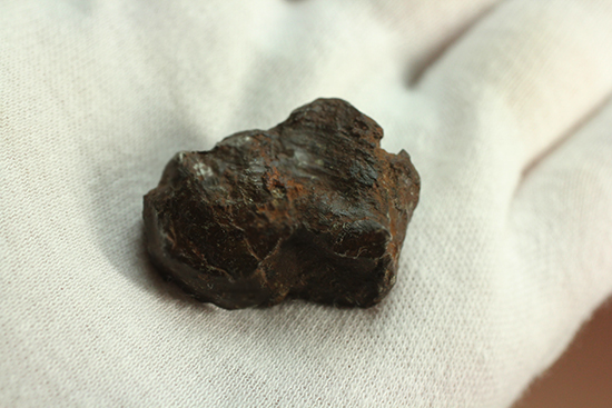 1947年にロシアに落下。鉄隕石シホテアリン（Sikhote-Alin）（その7）