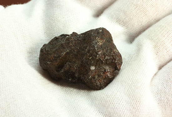 1947年にロシアに落下。鉄隕石シホテアリン（Sikhote-Alin）（その8）