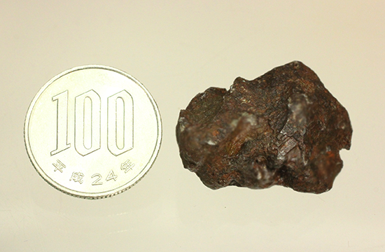1947年にロシアに落下。鉄隕石シホテアリン（Sikhote-Alin）（その9）